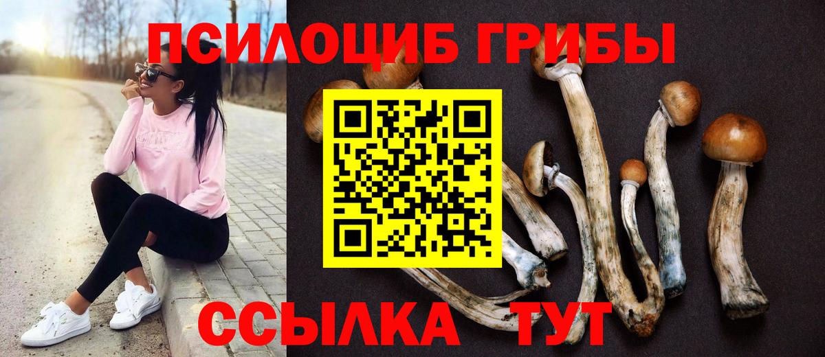 Псилоцибиновые грибы мухоморы  Вход с VPN  Галлюциногенные грибы Psilocybine cubensis  Вязники 